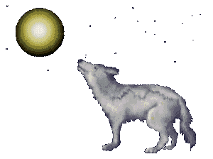 wolf.gif (38629 bytes)